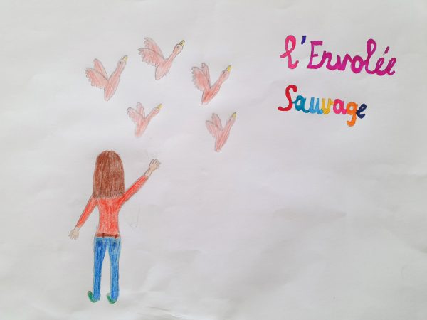 l envolee sauvage