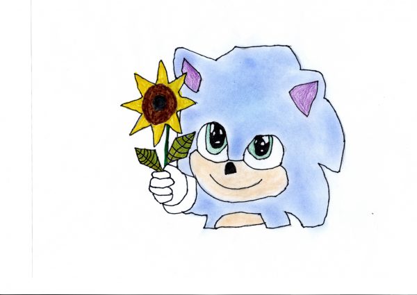 sonic le film