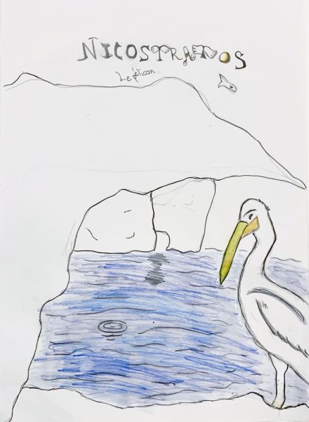 nicostratos le pelican