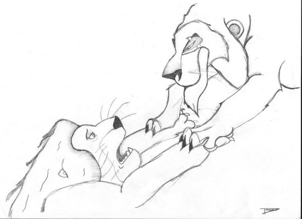 le roi lion