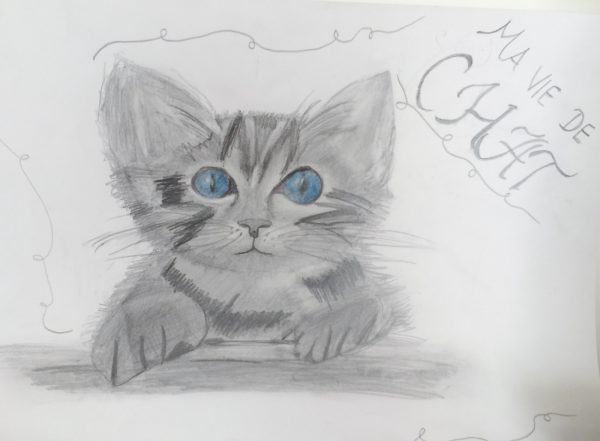 ma vie de chat