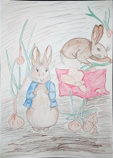 pierre lapin